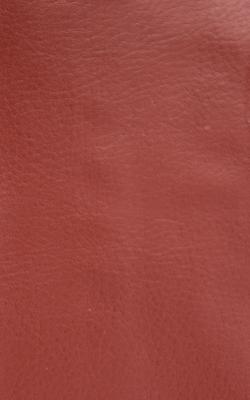 Novel Wang Baked Clay in The Performance Faux Leather Collection Polyurethane Fire Rated Fabric