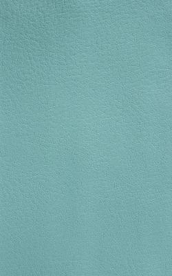 Novel Wang Surf in The Performance Faux Leather Collection Polyurethane Fire Rated Fabric