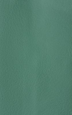 Novel Wang Basil in The Performance Faux Leather Collection Polyurethane Fire Rated Fabric
