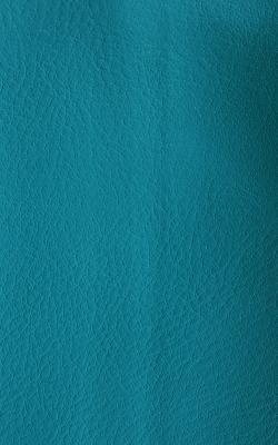 Novel Wang Cove in The Performance Faux Leather Collection Grey Polyurethane Fire Rated Fabric