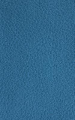 Novel Walter Lake in The Performance Faux Leather Collection PVC Fire Rated Fabric Solid Faux Leather  Fabric