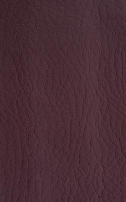 Novel Young Sangre in The Performance Faux Leather Collection coated  Blend Fire Rated Fabric