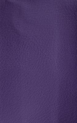 Novel Wang Verbena in The Performance Faux Leather Collection Polyurethane Fire Rated Fabric