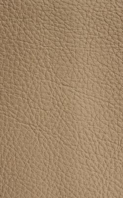 Novel Walter Buff in The Performance Faux Leather Collection Beige PVC Fire Rated Fabric Solid Faux Leather  Fabric