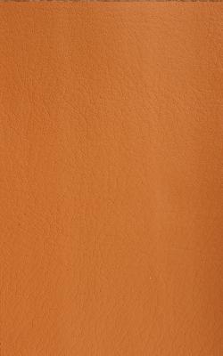 Novel Wang Papaya in The Performance Faux Leather Collection Polyurethane Fire Rated Fabric
