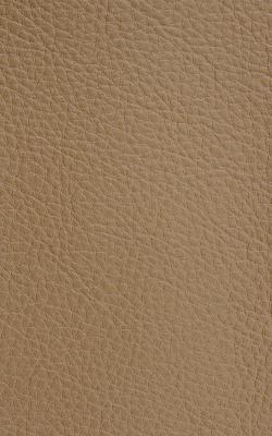 Novel Walter British Tan in The Performance Faux Leather Collection Beige PVC Fire Rated Fabric Solid Faux Leather  Fabric