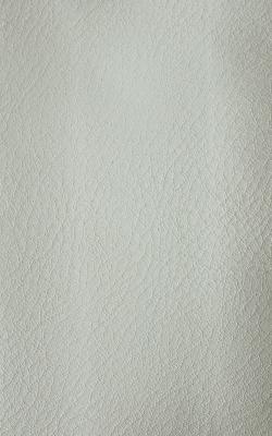 Novel Wang Limestone in The Performance Faux Leather Collection Grey Polyurethane Fire Rated Fabric