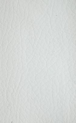 Novel Young Brillant White in The Performance Faux Leather Collection White coated  Blend Fire Rated Fabric