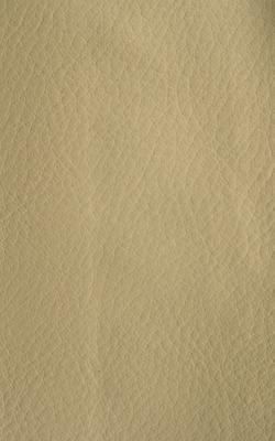 Novel Wang Ecru in The Performance Faux Leather Collection Beige Polyurethane Fire Rated Fabric
