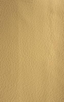 Novel Wang Harvest in The Performance Faux Leather Collection Polyurethane Fire Rated Fabric