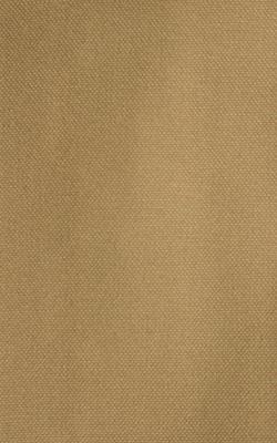 Novel Wilder Champagne in The Performance Faux Leather Collection Beige Coated  Blend Fire Rated Fabric
