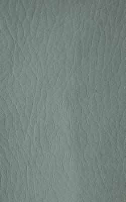Novel Young Anthracite in The Performance Faux Leather Collection coated  Blend Fire Rated Fabric