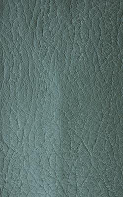 Novel Young Patina in The Performance Faux Leather Collection Green coated  Blend Fire Rated Fabric