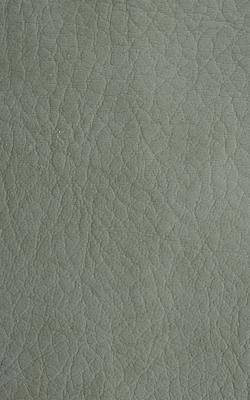 Novel Young Greentea in The Performance Faux Leather Collection Green coated  Blend Fire Rated Fabric