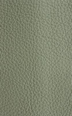 Novel Walter Sage in The Performance Faux Leather Collection Green PVC Fire Rated Fabric Solid Faux Leather  Fabric