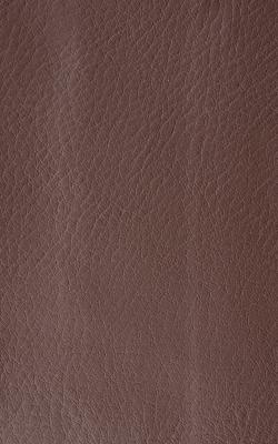 Novel Wang Allspice in The Performance Faux Leather Collection Polyurethane Fire Rated Fabric