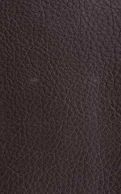 Novel Walter Fudge in The Performance Faux Leather Collection PVC Fire Rated Fabric Solid Faux Leather  Fabric