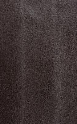 Novel Wang Sumatra in The Performance Faux Leather Collection Polyurethane Fire Rated Fabric