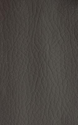 Novel Young Espresso in The Performance Faux Leather Collection Brown coated  Blend Fire Rated Fabric