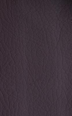 Novel Young Nightshade in The Performance Faux Leather Collection Black coated  Blend Fire Rated Fabric