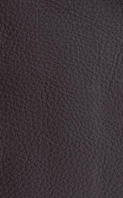 Novel Walter Chocolate in The Performance Faux Leather Collection Brown PVC Fire Rated Fabric Solid Faux Leather  Fabric