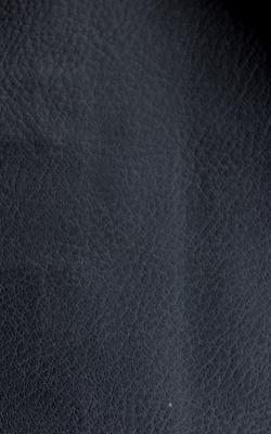 Novel Wang Raven in The Performance Faux Leather Collection Polyurethane Fire Rated Fabric
