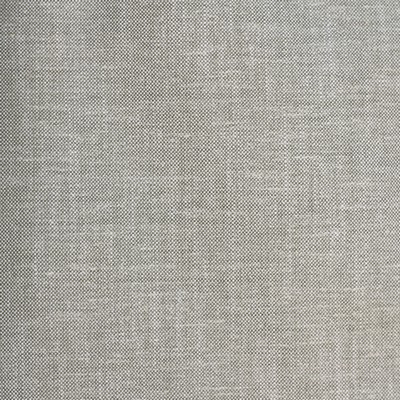 Novel Essence Mineral in 368 Grey Drapery Linen 100 percent Solid Linen   Fabric