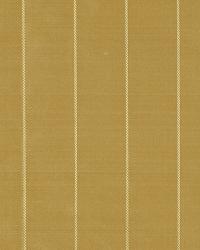 Bruschi Bronze by  Robert Allen 