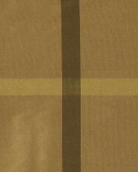 Stackhouse Caramel by  Robert Allen 