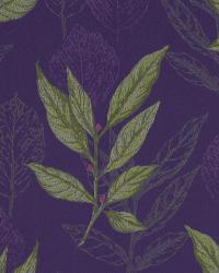 Meadowlands Dresden by  Robert Allen 