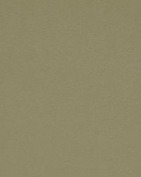 Galimatias Avocado by  Robert Allen 