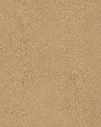 Velicate Camel by  Robert Allen 