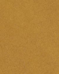 Velicate Saddle by  Robert Allen 