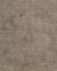 Wimbledon Taupe by   
