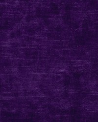 Wimbledon Electric Violet by   