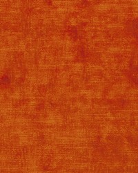 Wimbledon Atomic Orange by   