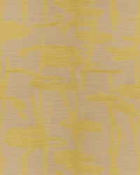 Ringleader Earthlawn by  S Harris 