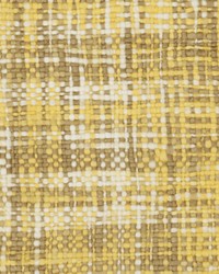 Pierce Texture Tawny by  S Harris 