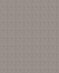 Brittany Stud Flannel by  S Harris 