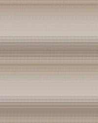 Angelo Ombra by  S Harris 