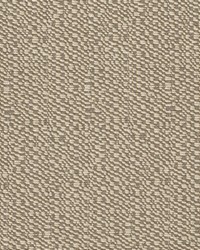 Lido Salute by  S Harris 