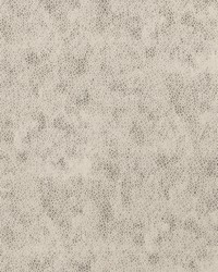 Animalier Attic by  S Harris 