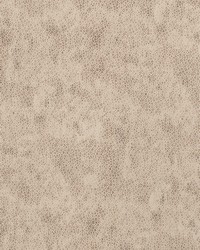 Animalier Stone by  S Harris 