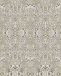 African Queen Le Jardin by  S Harris 