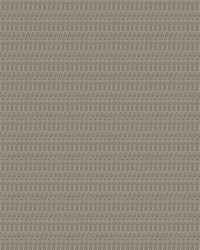 Global Citizen Cemented by  S Harris 