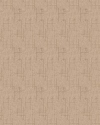 Etch A Sketch Birch by  S Harris 