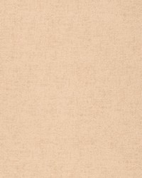 Bizzle Cloth Felt Ivory by  S Harris 