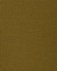 Comfort Cord Green Envy by  S Harris 