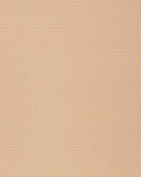 Comfort Cord Ivory Wash by  S Harris 