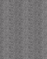 Perfect Stranger Haze by   